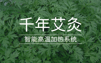 艾灸养生