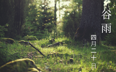二十四节气之一谷雨